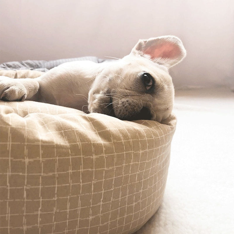 Coussins rond pour chiens et chats